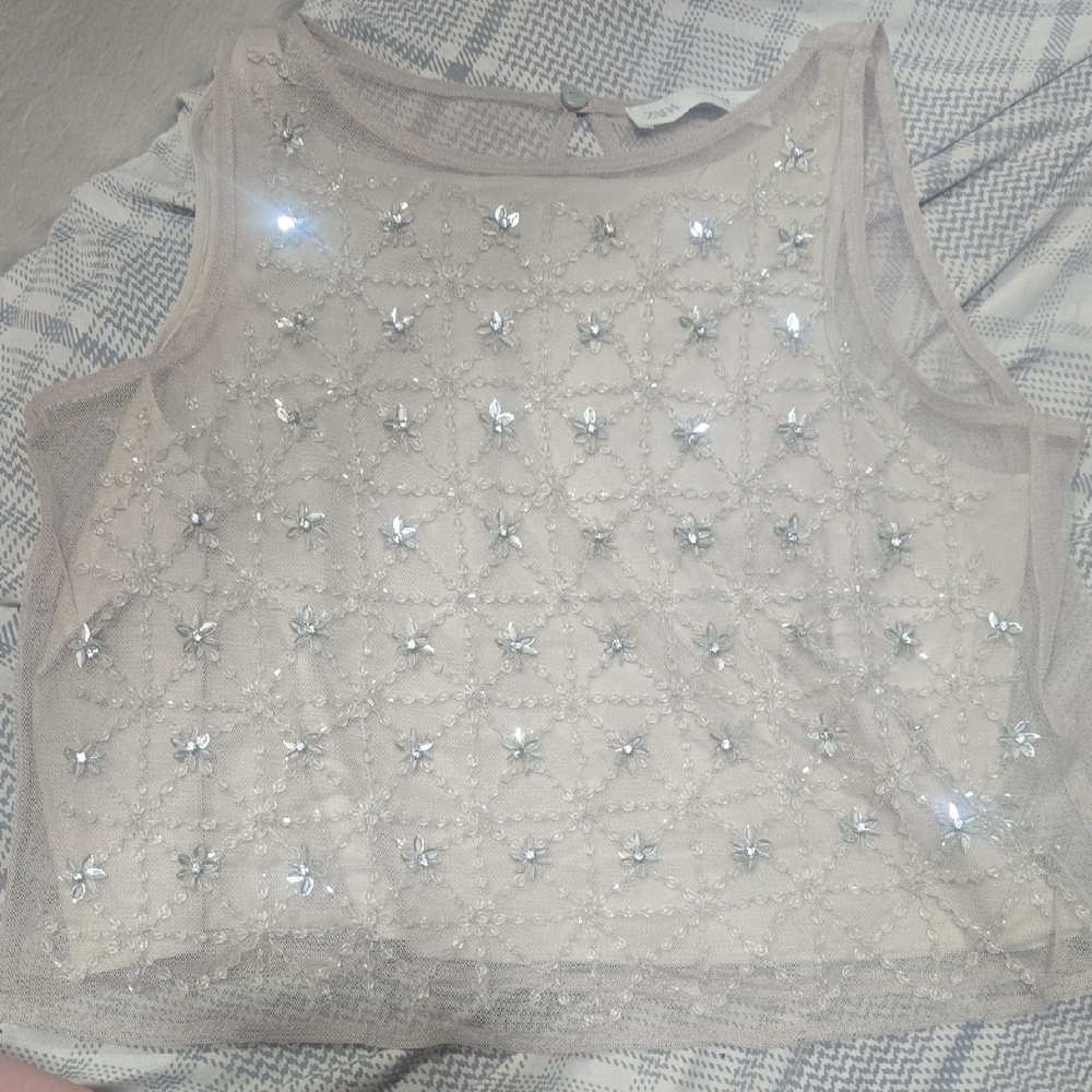 Zara Sheer Top with Embellishments